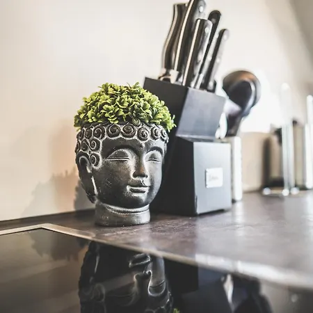 Apartman Exklusive Maisonette Am See, 5 Min Zur Sap, Smart Tv & Netflix - Wehome Premium *