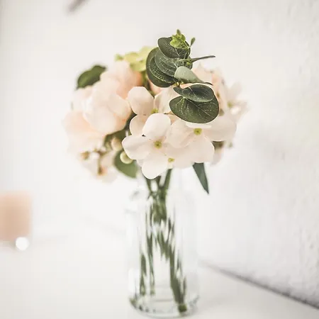 Exklusive Maisonette Am See, 5 Min Zur Sap, Smart Tv & Netflix - Wehome Premium St. Leon-Rot